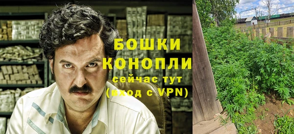 твердый Михайловск