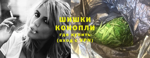 сатива Михайлов